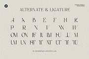 Brikelia Minimalist Fashionable Font, a Serif Font by roomspace creative lab (Thumbnail 12 of 12)