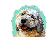 Puppies Dog Breeds Big Bundle 135Pcs, an Animal Illustration by Dneprstock (Thumbnail 40 of 68)