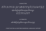 Lanarkshire Script, a Script Font by Beck McCormick (Thumbnail 10 of 10)