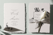 Monstera Ink Brush Botanical Vector, a Decorative Illustration by Momosama Studio (Thumbnail 7 of 9)