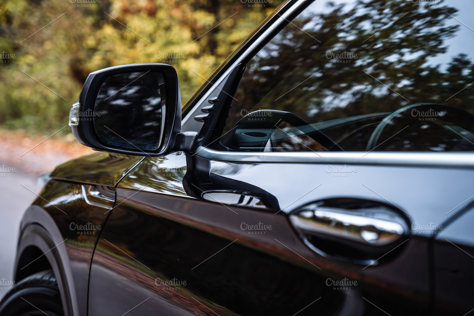 Car Side Mirror and Door Detail on Forest Road, a Transportation Photo by Red Hot Chili Pepper Shop