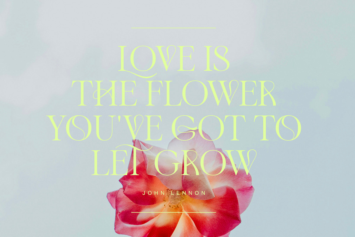 Adelia Mixable Serif, a Serif Font by Sam Parrett (Photo 7 of 11)