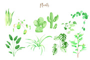 Plants & Cats Watercolor Clipart, an Animal Illustration by natalisart (Thumbnail 5 of 13)