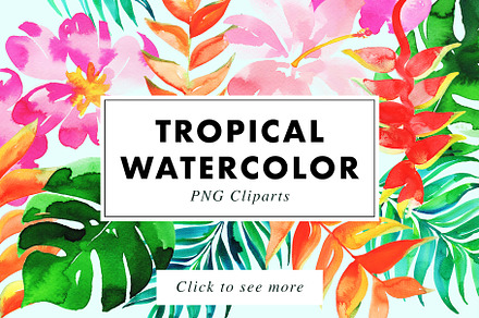 22 Tropical Watercolor Illustrations