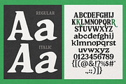 South Costalina, a Font by Youngtype.Std (Thumbnail 11 of 11)