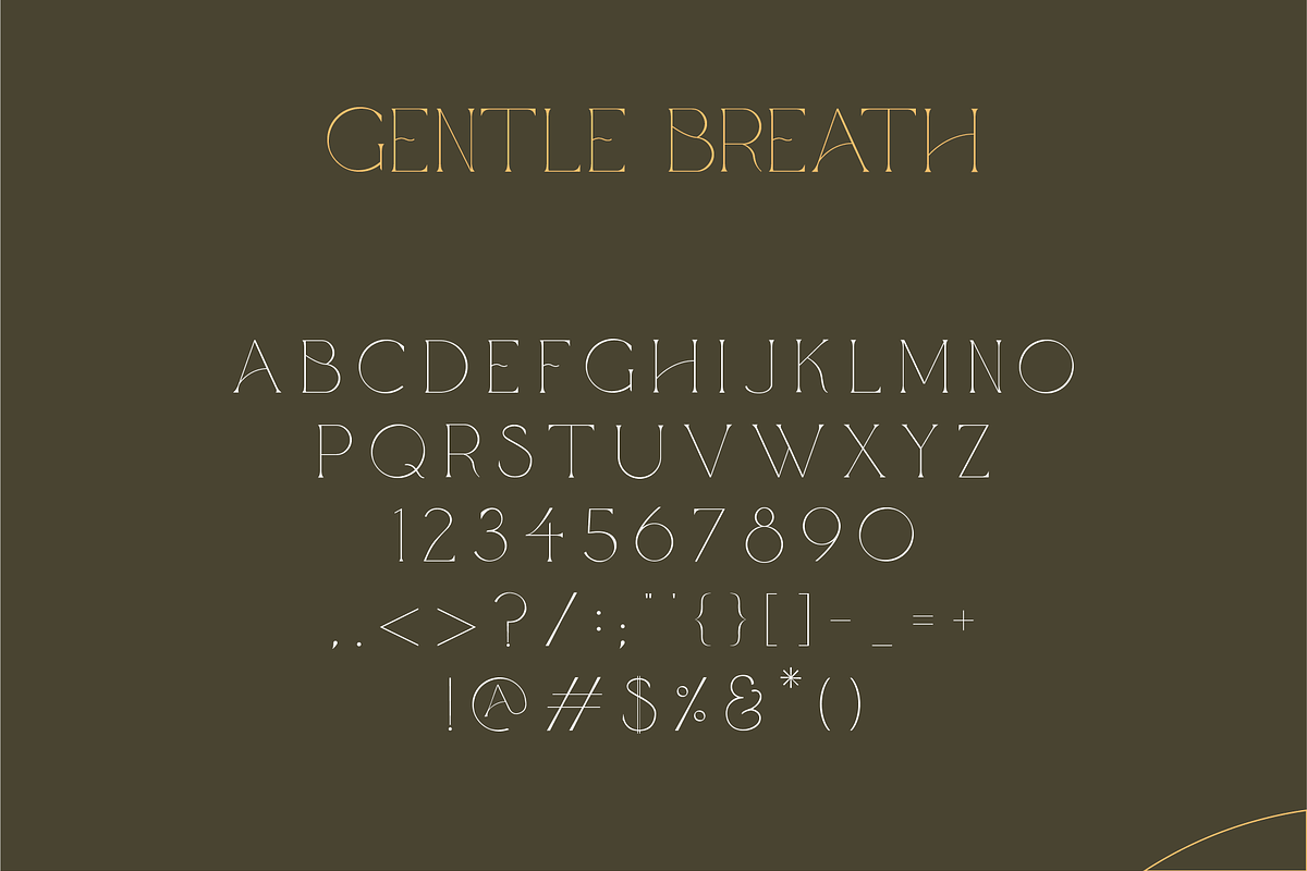 Gentle Breath - Serif Font + Vectors, a Serif Font by The Forge Type Co (Photo 6 of 10)