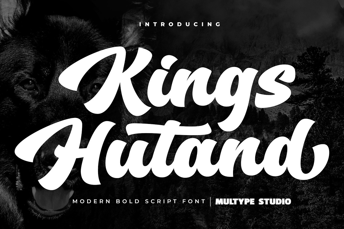 Kings Hutand Modern Bold Script, a Script Font by Multype Studio (Photo 1 of 15)