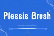 Plessis Brush Display Font, a Font by Creativetacos (Thumbnail 1 of 8)