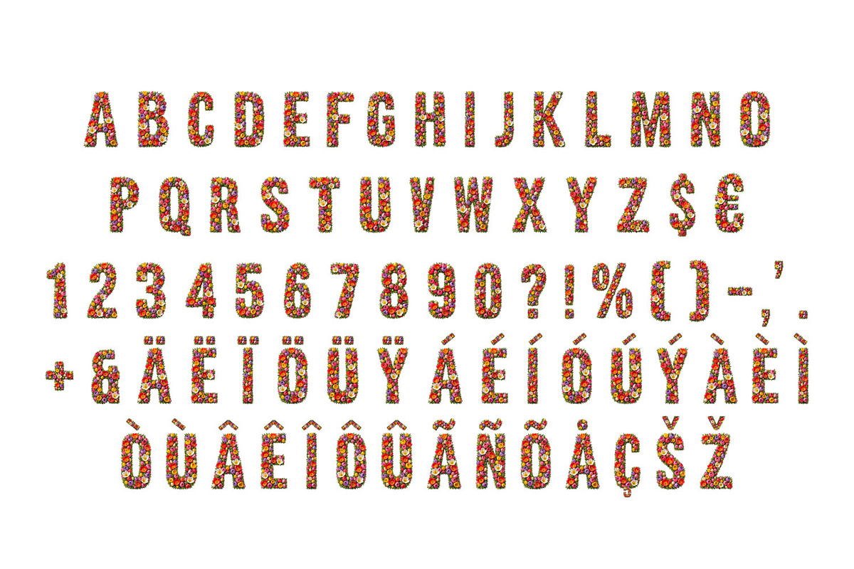 Tulip Font, a Serif Font by Handmadefont (Photo 2 of 15)