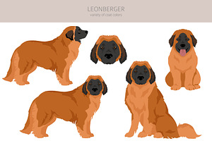 Leonberger Clipart