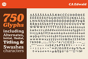 CA Edwald, a Serif Font by Cape Arcona Type Foundry (Thumbnail 10 of 10)