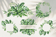 Tropical Leaves Watercolor Set, a Seasonal Illustration by NATASHA CHU (Thumbnail 6 of 13)