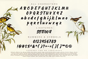 Brave Factor, a Script Font by Ditatype (Thumbnail 9 of 10)