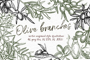 Olive branches vector illustration, a Food Illustration by Ann Astro (Thumbnail 1 of 7)
