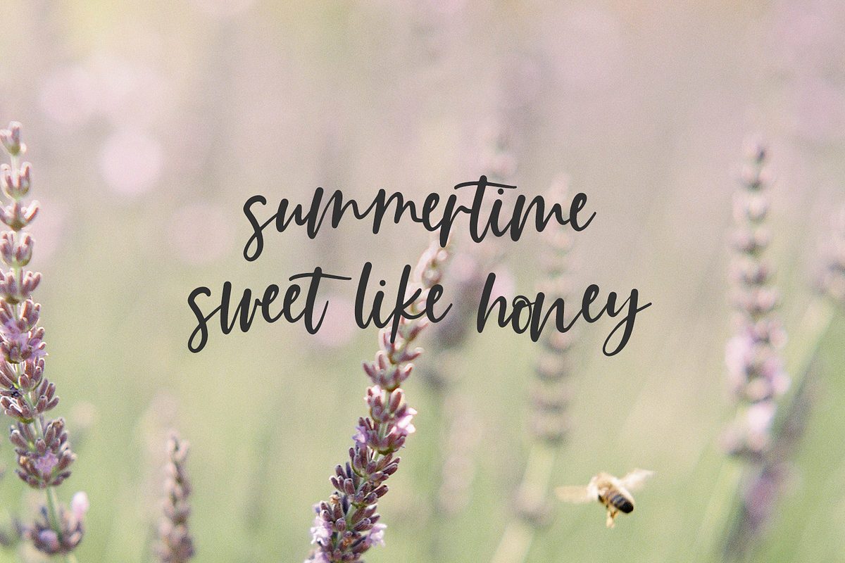 Summer Paradise Script, a Script Font by Beck McCormick (Photo 7 of 10)