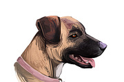 55 Dog Breeds Popular in USA, an Animal Illustration by Dneprstock (Thumbnail 6 of 14)