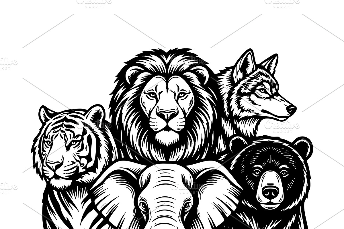 Vector of wild animals group., an Animal Illustration by yod67