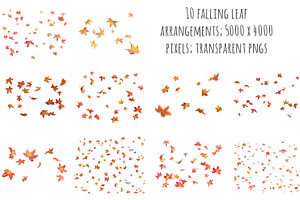 Falling Leaves Overlays