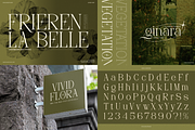 90% OFF! Modern Serif Font Bundle, a Serif Font by Denustudios (Thumbnail 11 of 16)
