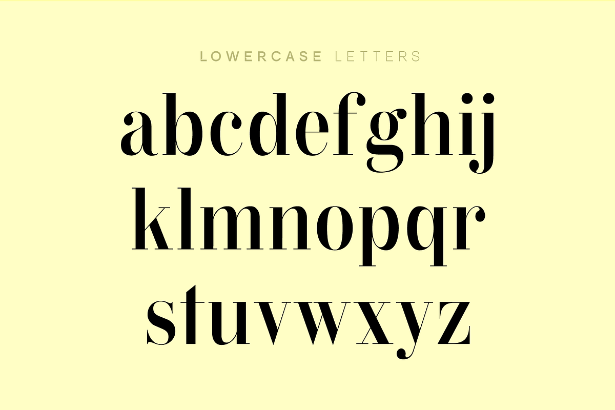 Bavex Pro Font, a Serif Font by FG Studios (Photo 2 of 3)