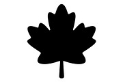 Maple Leaf Acorn Autumn, an Object Graphic by Gfx_Store (Thumbnail 3 of 18)