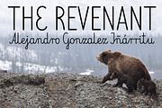 Elementarz Pro, a Script Font by Leitmotif (Thumbnail 5 of 6)