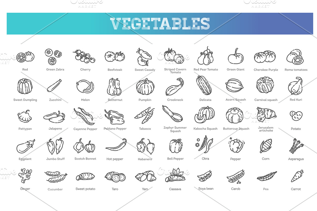 Vector collection with vegetables, a Food Illustration by Tettygreen