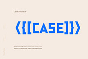 TT Bricks, a Sans Serif Font by TypeType (Thumbnail 2 of 13)