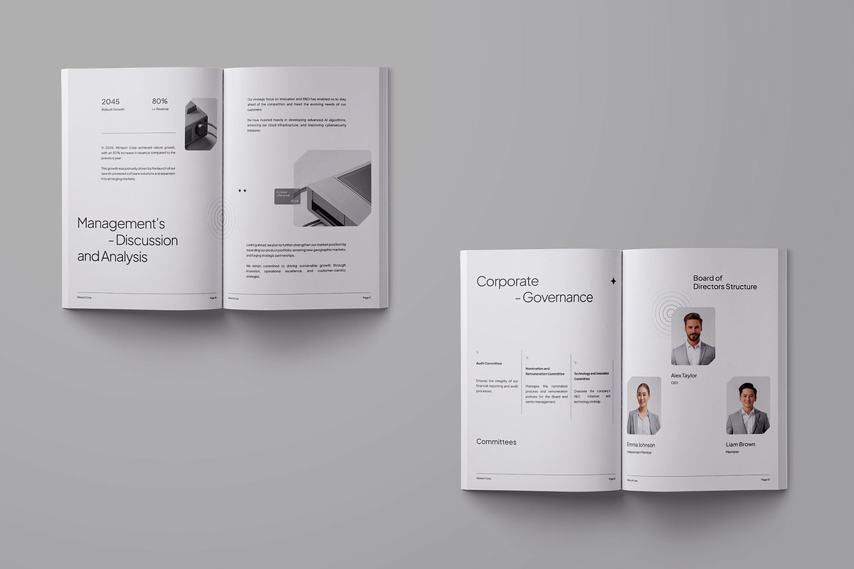 Annual Report Template - Mintech preview 5