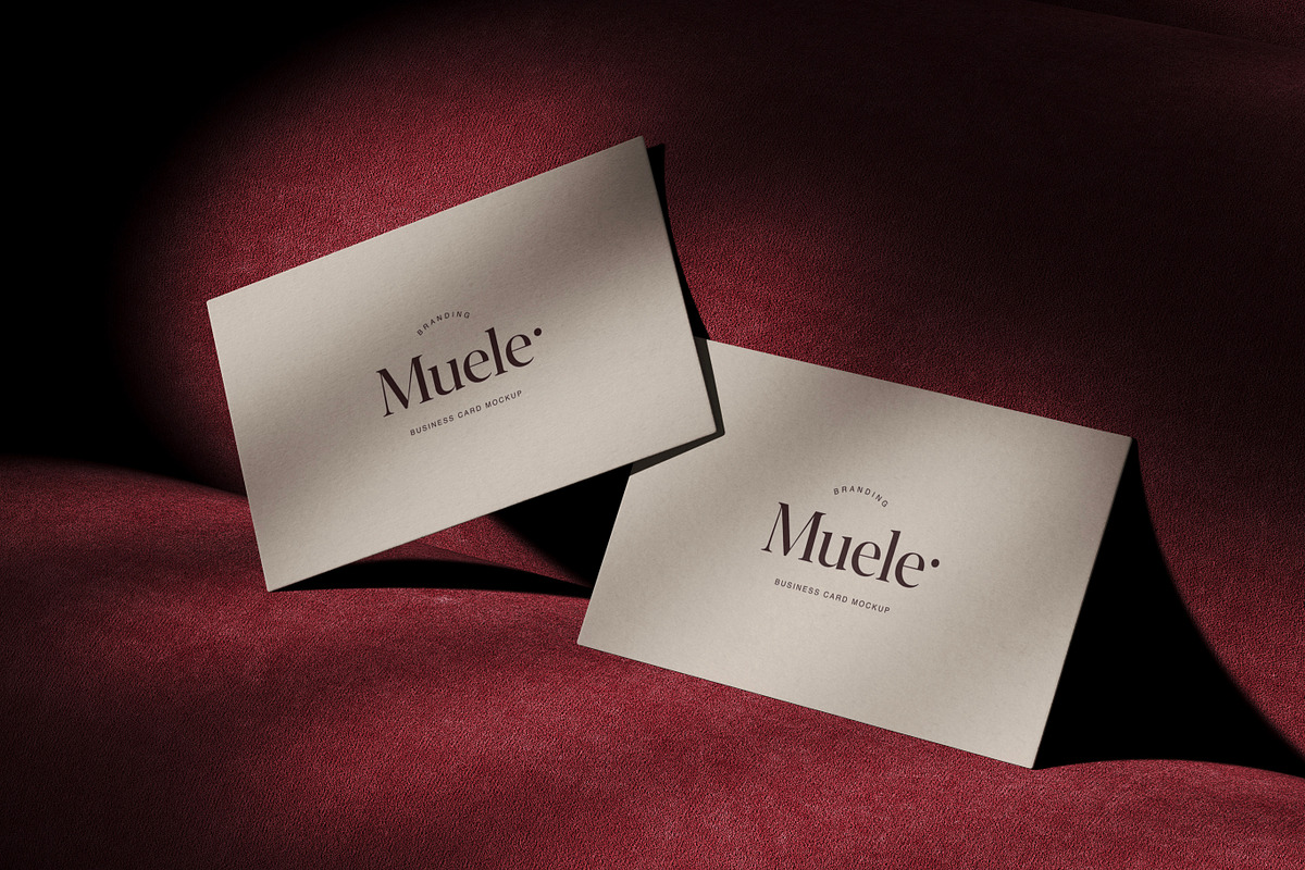 Muele, Branding Mockups, EU, a Books & Magazine Mockup by ls.graphics (Photo 6 of 10)