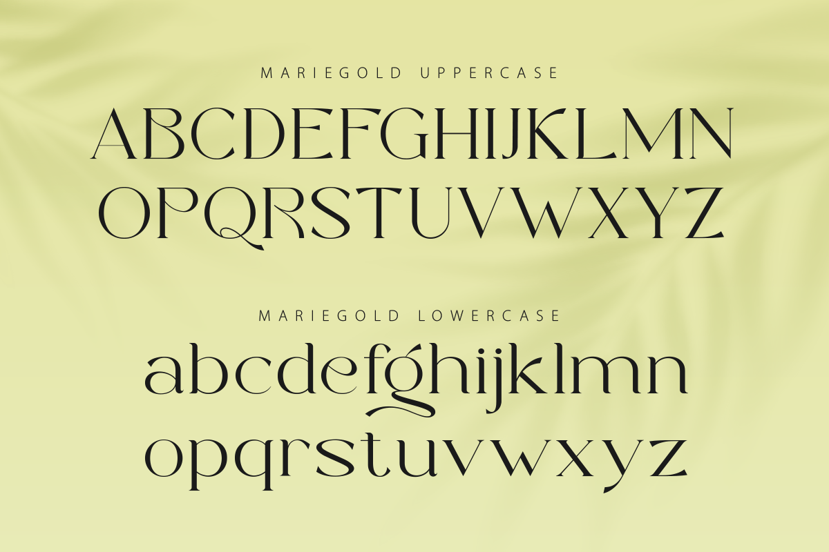 Marie Gold - Modern Unique Serif, a Serif Font by RagamKata (Photo 7 of 10)