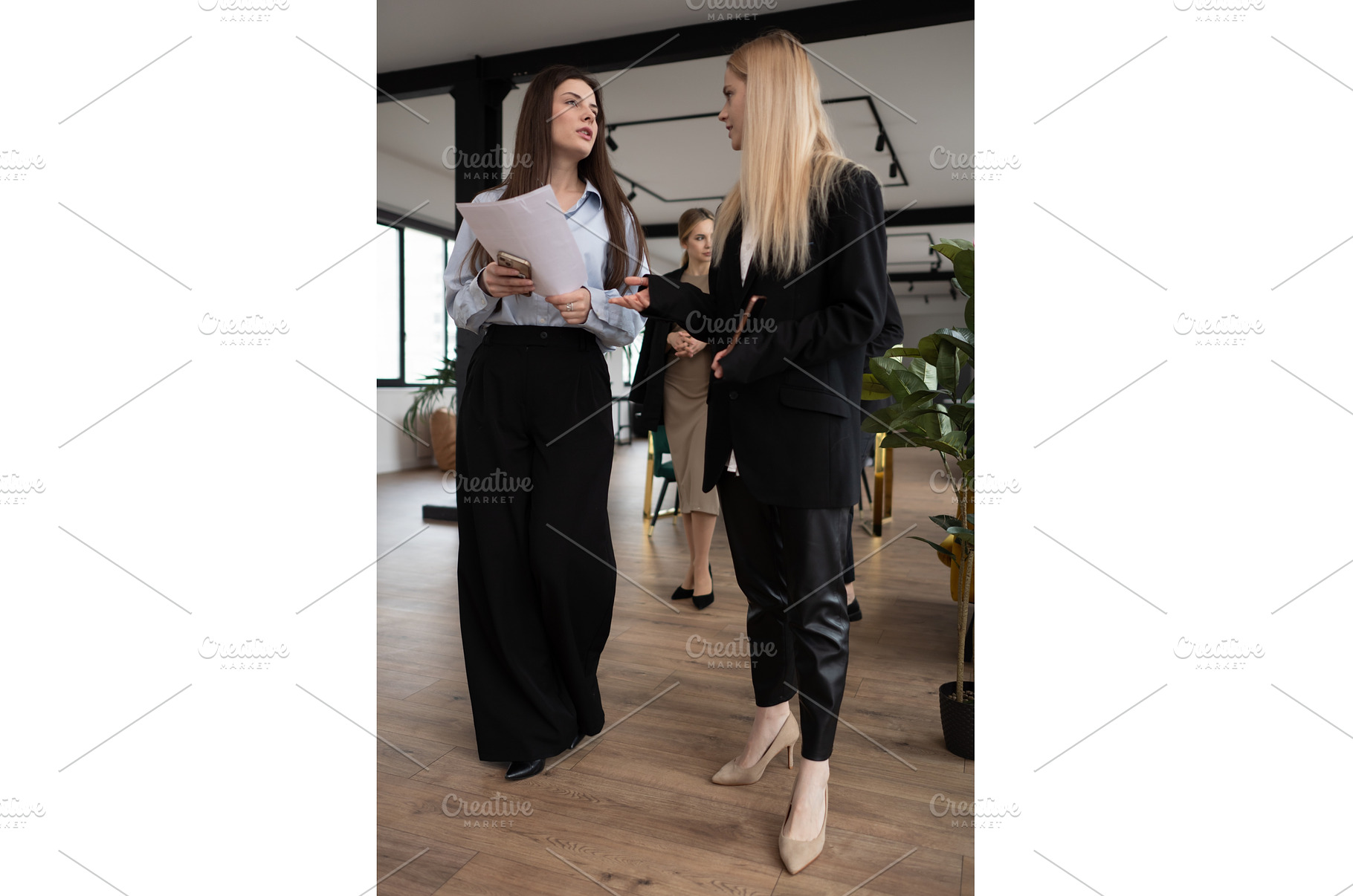 Professional businesswomen engaging, a Person Photo by undrey