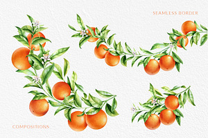 Orange Branch Watercolor Collection