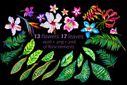 Aloha - tropical flowers kit., an Illustration by RosaPompelmo (Thumbnail 2 of 5)