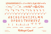 Smiles Chapter Bold Brush Font, a Script Font by Letterena Studios Script (Thumbnail 13 of 20)