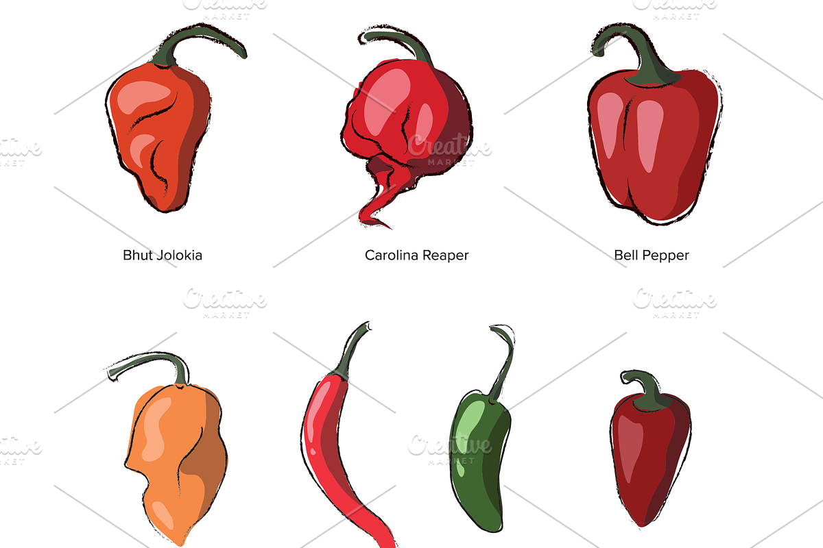 Chili Pepper Vector Sketch, a Food Illustration by BenDesigner