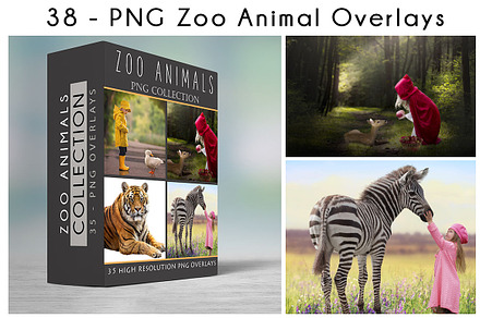 47 - PNG - ZOO ANIMALS
