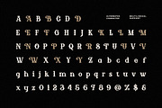 Diomag - Vintage Display Font, a Serif Font by Fype Co. (Thumbnail 6 of 6)