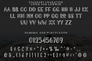Cute lovely, a Serif Font by FreshTypeINK (Thumbnail 4 of 8)