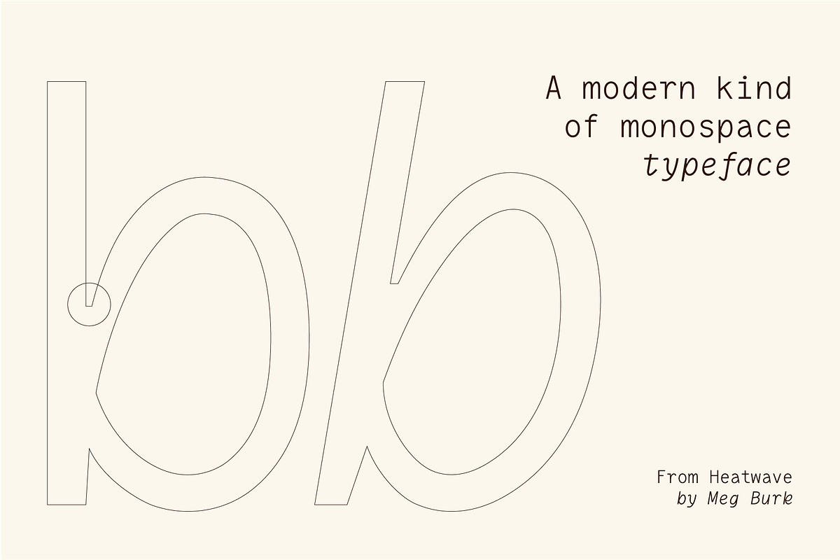 Neue Mexico Mono, a Sans Serif Font by MEG BURK CHOI (Photo 2 of 3)
