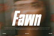 FAWN MODERN DISPLAY SAN SERIF FONT, a Sans Serif Font by BURSTYPE (Thumbnail 8 of 9)