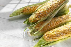 Fresh corn cobs with green husks on white wooden table, a Food & Drink Photo by Olena Rudo