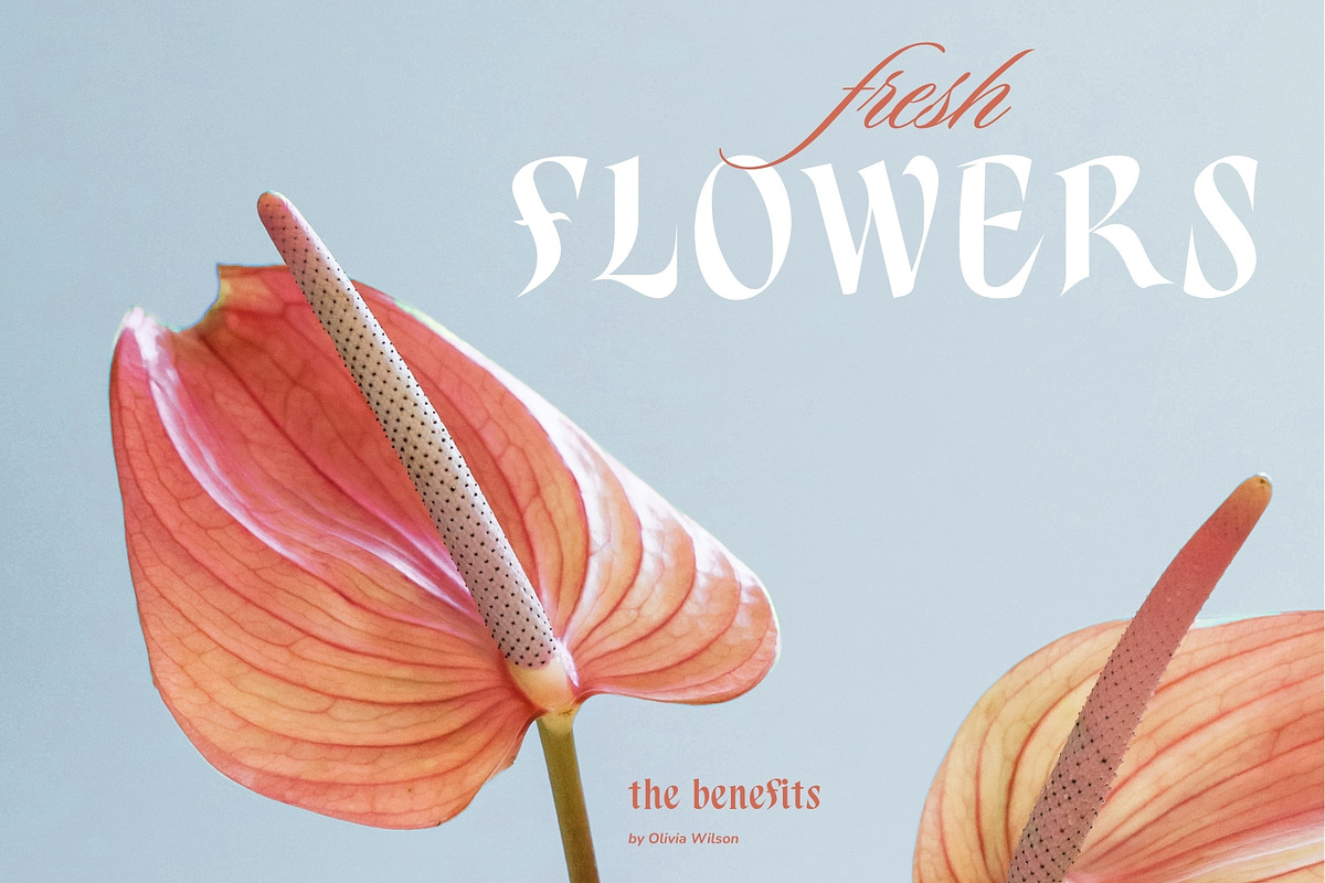 Aspenleigh Decorative Serif Font, a Serif Font by Heinzel Std (Photo 7 of 15)