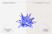 Botanical Herb Ingredients, a Healthcare Illustration by TheMountBirdStudio (Thumbnail 2 of 10)