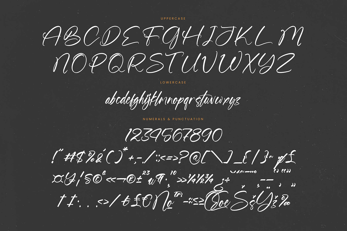 Blazking Bold Brush Font, a Script Font by stylishtype.co (Photo 18 of 20)