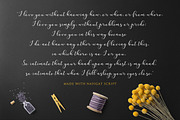 Nafigat Script, a Script Font by Stipline Studios (Thumbnail 5 of 14)