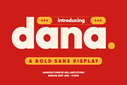 Dana Bold Sans Display, a Sans Serif Font by GRVS Studio (Thumbnail 1 of 4)
