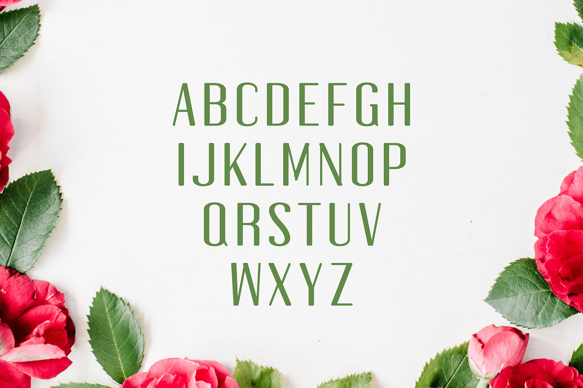 Jadrien Serif + Sans Duo 5 Font Pack preview 3