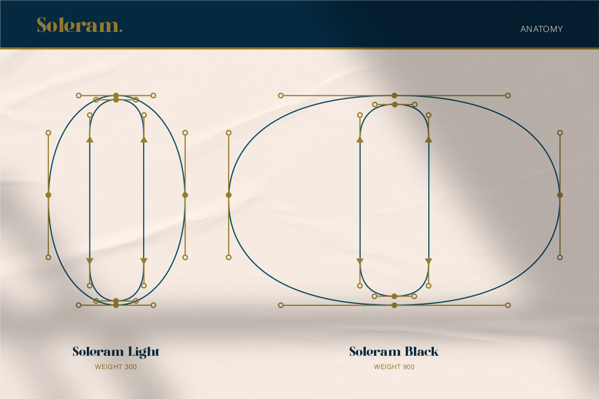 Soleram - 3 Style with 7 Weight Font, a Serif Font by Burntilldead (Photo 8 of 13)