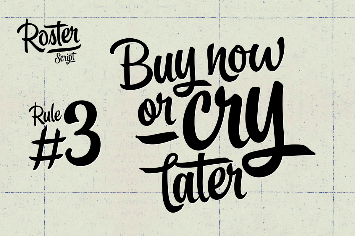 Roster Script + Extras (35% OFF), a Script Font by Fenotype (Photo 4 of 20)
